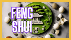 feng shui sidney cabral